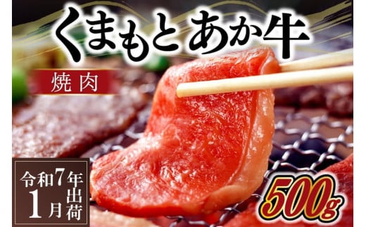 〈令和7年1月出荷〉熊本県産ＧＩ認証取得　くまもとあか牛（焼肉用５００ｇ） 1102524 - 熊本県南小国町