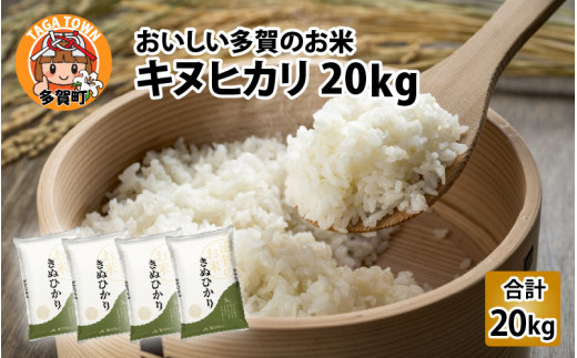 【令和6年産】キヌヒカリ（計20kg）おいしい多賀のお米 [C-00401] 637777 - 滋賀県多賀町