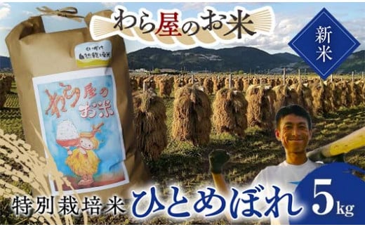 【令和6年産 新米 先行予約】 【わら屋のお米】 特別栽培米 ひとめぼれ 5kg 《令和6年10月下旬～発送》 『おがわ藁農園』 米 白米 精米 ご飯 農家直送 山形県 南陽市  [2070-R6] 1460217 - 山形県南陽市