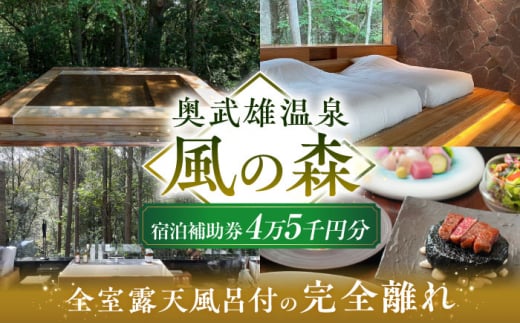 奥武雄温泉 風の森　宿泊補助券 4万5000円分 /奥武雄温泉 風の森 [UEC002]