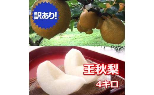 ９２６．【訳あり】王秋梨 4kg（4～13玉前後）≪果物 フルーツ くだもの≫※2024年10月下旬～12月上旬頃に順次発送予定 1459188 - 鳥取県北栄町