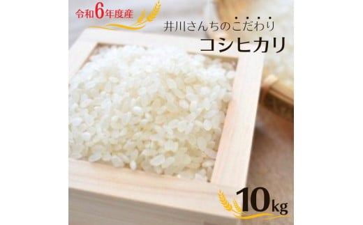 井川さんちのこだわりコシヒカリ 10kg 精米10kg 茨城県産コシヒカリ 鉾田市産 424172 - 茨城県鉾田市