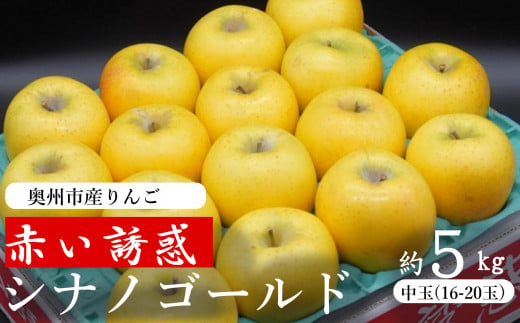 奥州市産りんご  赤い誘惑「シナノゴールド」約5kg　16－20玉 JA岩手ふるさと 1457978 - 岩手県奥州市