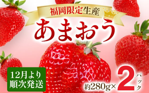 【12月より順次発送】あまおう グランデサイズ以上 約560g（約280g×2パック） 苺 イチゴ いちご フルーツ 果物 ふるさと納税くだもの ブランド くだもの 福岡県産 513691 - 福岡県みやこ町