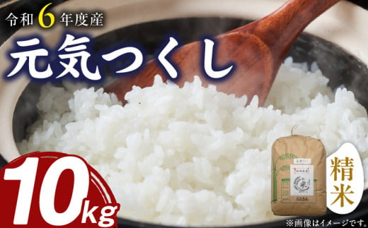 【令和6年度産米　ご予約受付！！】元気つくし（精米）10kg 1459183 - 福岡県久留米市