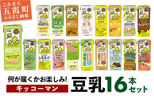 【合計200ml×16本】キッコーマン バラエティーセット 200ml ／ 飲料 豆乳 健康 おまかせ おやつ 豆乳飲料 大豆 パック セット 定番 飲み切り おすすめ 茨城県 五霞町 1459300 - 茨城県五霞町