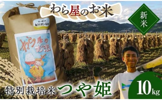 【令和6年産 新米 先行予約】 【わら屋のお米】 特別栽培米 つや姫 10kg 《令和6年10月下旬～発送》 『おがわ藁農園』 米 白米 精米 ご飯 農家直送 山形県 南陽市  [2168ｰR6] 1460220 - 山形県南陽市