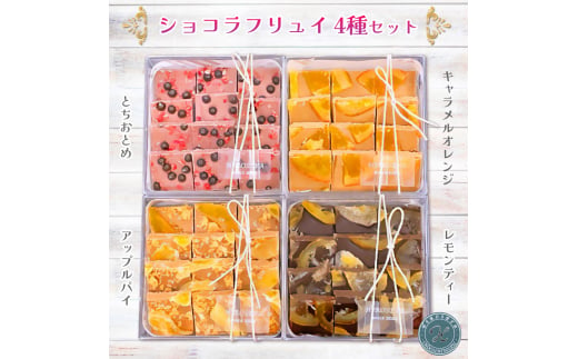 ショコラフリュイ 4種セット|チョコレート 菓子 [0671]