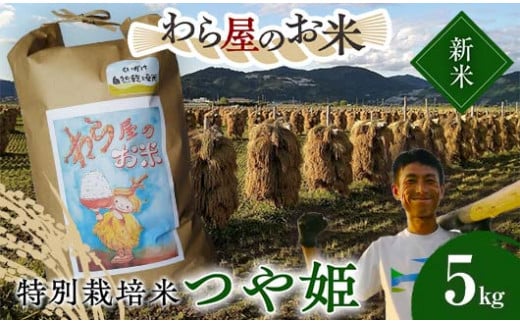 【令和6年産 新米 先行予約】 【わら屋のお米】 特別栽培米 つや姫 5kg 《令和6年10月下旬～発送》 『おがわ藁農園』 米 白米 精米 ご飯 農家直送 山形県 南陽市  [2167ｰR6] 1460219 - 山形県南陽市