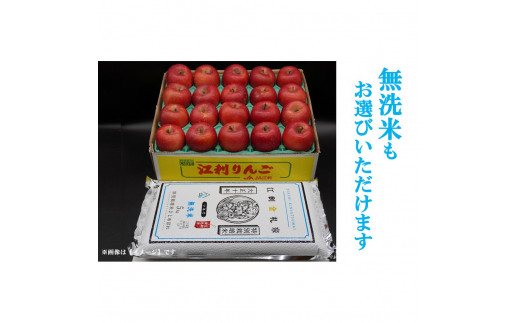 【12月中旬発送】江刺りんご「サンふじ」5kgと江刺金札米　ひとめぼれ5kg（無洗米）セット 1457966 - 岩手県奥州市