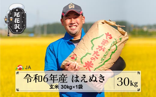 新米 令和6年産 はえぬき 玄米 30kg 2024年産 山形県産 尾花沢市産お米 米 ja-hagxb30