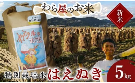 【令和6年産 新米 先行予約】 【わら屋のお米】 特別栽培米 はえぬき 5kg 《令和6年10月下旬～発送》 『おがわ藁農園』 米 白米 精米 ご飯 農家直送 山形県 南陽市  [2067ｰR6] 1460215 - 山形県南陽市