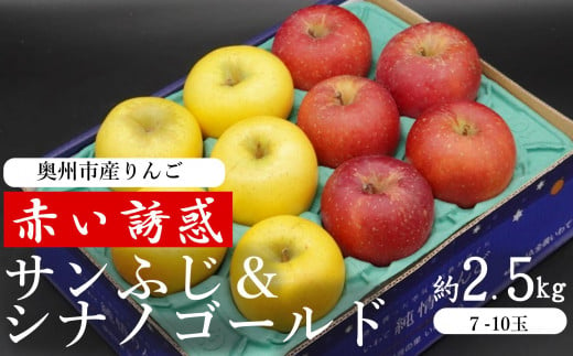 奥州市産りんご  赤い誘惑「サンふじ＆シナノゴールド」約2.5kg　8-10玉 JA岩手ふるさと 1457977 - 岩手県奥州市