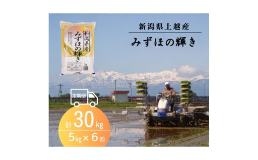 米 【先行予約】令和6年 新米 新潟上越産 みずほの輝き 定期便 【6ヶ月連続お届け】5kg×6回 30kg  新潟 新潟県 限定 1457662 - 新潟県上越市