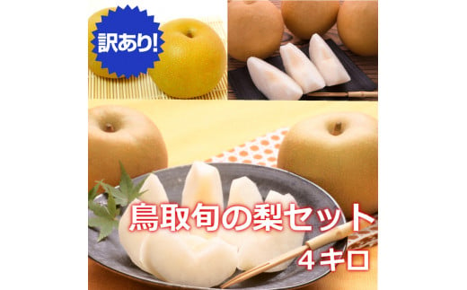 ９２８．【訳あり】鳥取県産旬の梨セット 4kg ≪果物 フルーツ くだもの≫※2024年10月下旬～12月上旬頃に順次発送予定 1459208 - 鳥取県北栄町