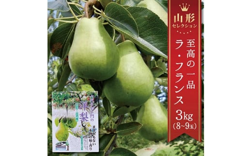 SA2352　六代多右エ門　西洋梨 特選 ラ・フランス《山形セレクション》　約3kg(8～9玉) 3L～4Lサイズ 化粧箱入