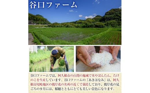 先行予約受付中！2024年11月以降順次発送予定＞鹿児島県産のお米 あきほなみ(計5kg) 国産 白米 自社精米 ご飯 おこめ おにぎり お弁当  あきほなみ 【谷口ファーム】a-9-5 - 鹿児島県阿久根市｜ふるさとチョイス - ふるさと納税サイト