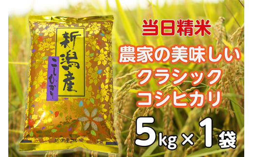 【令和6年産新米】 当日精米! 農家直送 美味しい クラシックコシヒカリ 5kg 精米 白米 水原町農産センター 1F22012 1460159 - 新潟県阿賀野市