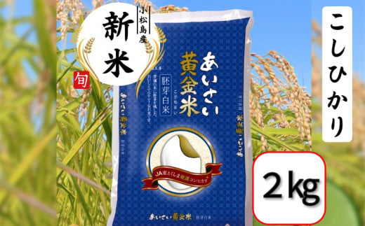 [選べる容量]令和6年産 新米 あいさい黄金米 2kg 胚芽白米 徳島県 コシヒカリ 2キロ 5キロ 6キロ 10キロ