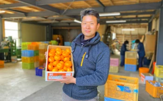 ＜1月中旬より順次発送予定＞大分県宇佐市産 蔵出し みかん(約10kg)ミカン 蜜柑 柑橘 フルーツ 果物 くだもの 果実 国産 熟成【103690100】【井上農園】 1459784 - 大分県宇佐市