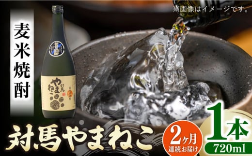 【全2回定期便】麦米焼酎 対馬やまねこ 25度 720ml 2本セット《対馬市》【株式会社サイキ】対馬 酒 贈り物 米焼酎 プレゼント 焼酎 [WAX050] 1460049 - 長崎県対馬市