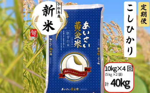 【定期便4回】 令和6年産 新米 定期便 あいさい黄金米 計40kg 10kg（5kg×2）×4回  胚芽白米 徳島県 コシヒカリ お米 こめ おこめ こしひかり 白米 精米 国産 ごはん 12kg 18kg 30kg 40kg 1460917 - 徳島県小松島市