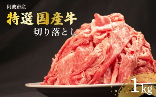 【 約 1kg 】牛肉 切り落とし 国産牛 小分け パック 冷凍 すきやき しゃぶしゃぶ 国産 野菜炒め 牛丼 中華炒め ビーフカレー カレー 肉じゃが 家庭用 内祝い ギフト 贈り物 ビーフ 徳島県 阿波市  1429989 - 徳島県阿波市