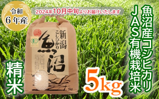 16P240 ＜数量限定＞令和6年産 魚沼産コシヒカリJAS有機栽培米 5kg精米（魚沼わたなべ農園） 白米 魚沼 有機 米 1466812 - 新潟県小千谷市