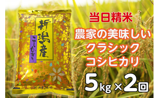 【令和6年産新米】【2ヶ月定期便】 当日精米! 農家直送 美味しい クラシックコシヒカリ 5kg×2回 計10kg 精米 白米 水原町農産センター 1F26023 1460163 - 新潟県阿賀野市