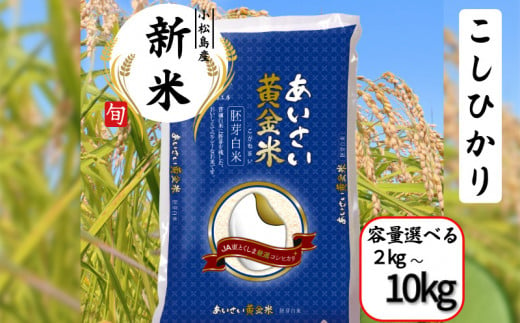 [選べる容量]令和6年産 新米 あいさい黄金米 2kg〜10kg 胚芽白米 こめ 米 kome ごはん おにぎり 徳島県 コシヒカリ 2キロ 5キロ 6キロ 10キロ