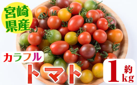 ＜先行予約受付中！2024年11月～5月の間に順次発送予定・期間限定＞カラフルトマト食べ比べセット(約1kg) 国産 宮崎県産 とまと 野菜 サラダ 黄色 オレンジ みどり 紫 アイコ 赤 セレブスイート 【KT-9】【K.Tfarm】 1459344 - 宮崎県門川町