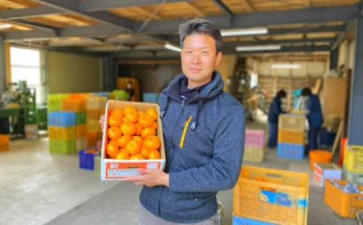 ＜2月下旬より順次発送予定＞大分県宇佐市産 蔵出し みかん(約10kg)ミカン 蜜柑 柑橘 フルーツ 果物 くだもの 果実 国産 熟成【103690500】【井上農園】 1459788 - 大分県宇佐市