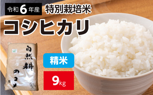 新米[令和六年産]特別栽培米コシヒカリ9kg(4.5kg×2袋)精米 お米 ブランド米 ライス 炭水化物 ご飯 主食 食卓 おにぎり お弁当 ミネラル米 こしひかり ごはん こめ コメ 産地直送 国産 茨城県産 常総市 運動会 アウトドア キャンプ