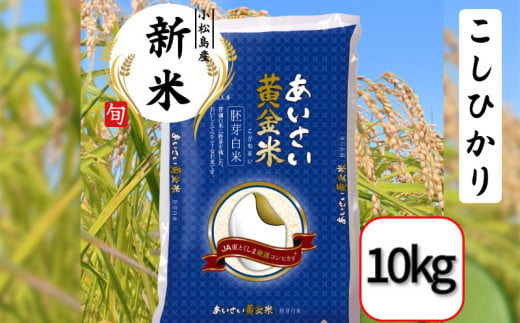 【選べる容量】令和6年産 新米 あいさい黄金米 10kg 胚芽白米 徳島県 コシヒカリ 2キロ 5キロ 6キロ 10キロ 1460913 - 徳島県小松島市