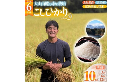 ９３１．【6回定期便】令和6年産こしひかり（精米）　10kg×6回     離島不可（北海道、沖縄本島は配送可能） ※お申し込みから14日以内に発送 1455037 - 鳥取県北栄町