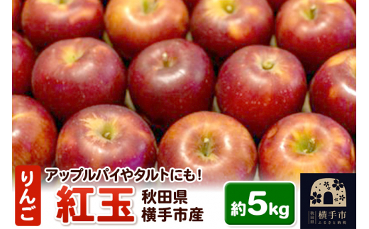 アップルパイやタルトにも！横手市産りんご(紅玉)　約5kg 1021501 - 秋田県横手市