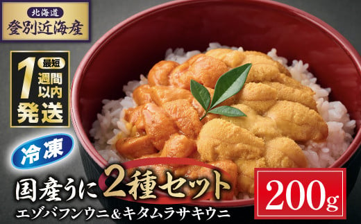 登別近海産冷凍 エゾバフンウニ&キタムラサキウニ 2種食べ比べセット（パック詰）200g ※6月以降順次配送 生うに バフンウニ うに 高級 ウニ 雲丹 生ウニ エゾバフンウニ 塩水 人気 ふるさと納税 北海道 登別市