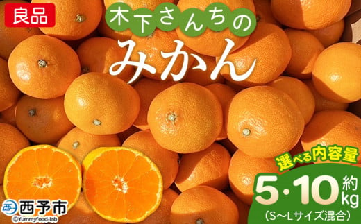 木下さんちのみかん 良品 約5kg/10kg(S〜Lサイズ混合) 柑橘類 温州みかん うんしゅうみかん みかん ミカン 蜜柑 果物 くだもの フルーツ 選べる内容量 特産品 木下農園 西宇和 愛媛県 西予市[常温]