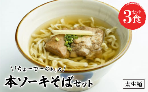 〈太生麺〉ちょーでーぐぁ 沖縄そば(本ソーキ)3食セット【1522953】 1389686 - 沖縄県西原町