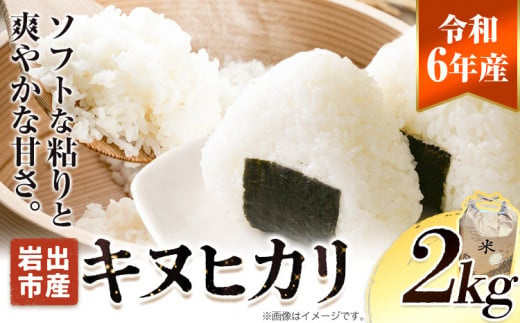 令和6年産 新米 キヌヒカリ 2kg 《10月中旬-1月中旬に出荷予定(土日祝除く)》東農園 和歌山県 岩出市 米 こめ コメ きぬひかり 白米 送料無料 1490322 - 和歌山県岩出市