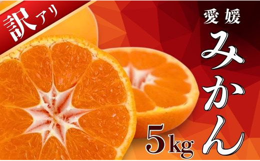 【先行予約】 訳あり 愛媛みかん 5kg 果物 柑橘 みかん 蜜柑 フルーツ ゼリー ジュース オレンジ 甘い 糖度 美味しい ビタミン 美容 健康 不揃い 傷 愛媛 愛南町 吉本農園 送料無料 