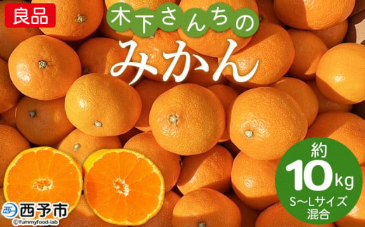 ＜木下さんちのみかん 良品 約10kg（5kg×2箱・S～Lサイズ混合）＞ 柑橘類 温州みかん ミカン 果物 くだもの フルーツ 特産品 木下農園 西宇和 愛媛県 西予市【常温】 987065 - 愛媛県西予市