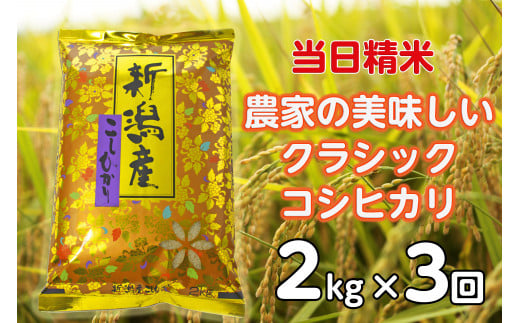 【令和6年産新米】【3ヶ月定期便】 当日精米! 農家直送 美味しい クラシックコシヒカリ 2kg×3回 計6kg 精米 白米 水原町農産センター 1F21017 1460117 - 新潟県阿賀野市