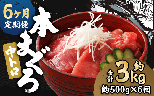 【6ヶ月定期便】 長崎県産 本マグロ「中トロ」約500g【大村湾漁業協同組合】 1458280 - 長崎県時津町