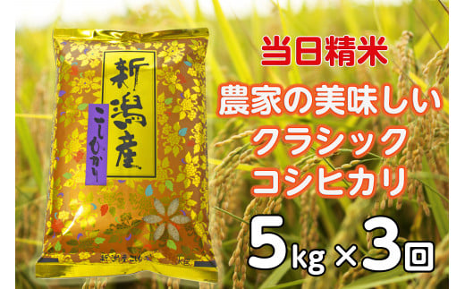 【令和6年産新米】【3ヶ月定期便】 当日精米! 農家直送 美味しい クラシックコシヒカリ 5kg×3回 計15kg 精米 白米 水原町農産センター 1F27034 1460164 - 新潟県阿賀野市