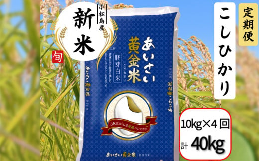 【定期便4回】 令和6年産 新米 定期便 あいさい黄金米 計40kg 10kg×4回  胚芽白米 徳島県 コシヒカリ お米 こめ おこめ こしひかり 白米 精米 国産 ごはん 12kg 18kg 30kg 40kg 1460918 - 徳島県小松島市