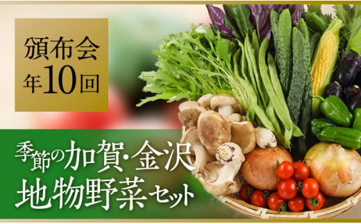 【全10回】JA金沢市 季節の加賀野菜・金沢地物野菜セット頒布会（毎月１回）  石川 金沢 加賀百万石 加賀 百万石 北陸 北陸復興 北陸支援 715363 - 石川県金沢市