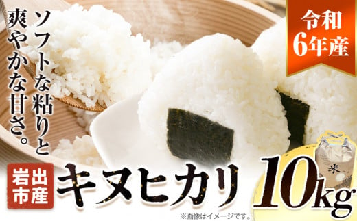 令和6年産 無洗米 キヌヒカリ 10kg 《10月中旬-1月中旬に出荷予定(土日祝除く)》 東農園 和歌山県 岩出市 米 無洗米 こめ コメ きぬひかり 白米 送料無料 1459465 - 和歌山県岩出市