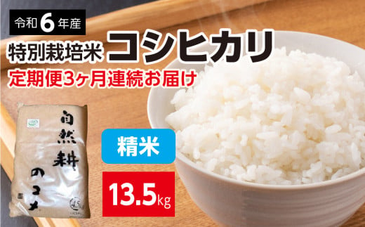 新米[定期便]令和六年産特別栽培米コシヒカリ4.5kg 精米 「3ヶ月連続お届け」定期便 合計13.5kg 精米 お米 ブランド米 ライス 炭水化物 ご飯 主食 食卓 おにぎり お弁当 ミネラル米 こしひかり ごはん こめ コメ 産地直送 国産 茨城県産 常総市 運動会 アウトドア キャンプ