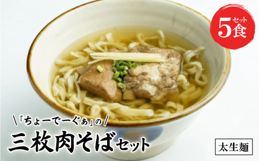 〈太生麺〉ちょーでーぐぁ 沖縄そば(三枚肉)5食セット【1522926】 1389682 - 沖縄県西原町